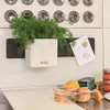LECHUZA Green Wall Home Kit, Kvetináč, Nástenný, Náhľad obrázku produktu 9