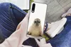 MuchoWow® Handyhülle Schutzhülle Hülle für Huawei P30 Robbe Produktbild-Vorschau 3