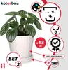KOTARBAU® 2 pcs. Pot de plantes avec soucoupe Blanc ⌀ 13 cm Voir les images du produit 4