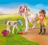 PLAYMOBIL Country Pferd mit Fohlen 71243 Produktbild-Vorschau 11