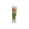 Vase Decade - klein (123053) von Philippi Produktbild-Vorschau 9