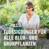 COMPO COMPLETE Pflanzendünger 1 Liter Produktbild-Vorschau 6