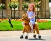 Cavallo meccanico Ponnie Fancy S Anteprima dell’immagine prodotto 13