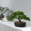 Kunstbonsai, Podocarpus, zeder, kiefer, zwarte keramische Productafbeelding-voorbeeld 5