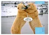 Lustige Eisbären (Wandkalender 2027 DIN A4 quer), CALVENDO Produktbild-Vorschau 9