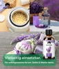 Emma Grün® Bio Lavendelöl 100ml – Ätherisches Öl für Produktbild-Vorschau 5