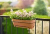 Jardinière elho® Vibia Campana en terre cuite de 70 cm avec Voir les images du produit 10