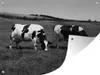 MuchoWow® Produktbild-Vorschau 1