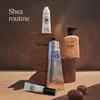 L'Occitane Shea Butter, Krém, Unisex, Univerzálna pleť, Náhľad obrázku produktu 6