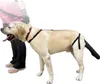 INF Protection Réglable Queue de Chien - Soin des Plaies, Voir les images du produit 3