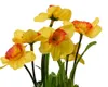 Künstliche Blumen im Topf Narzissen 18cm 1 Stück sortiert Produktbild-Vorschau 2