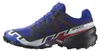 SALOMON Speedcross 6 GTX Equipe Trailrunning Schuhe blau EU Produktbild-Vorschau 5