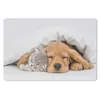 MuchoWow® Mauspad Mousepad Haustiere - Hund - Katze - Decke Produktbild-Vorschau 1