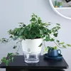 Ensemble de pots à herbes aromatiques pour la cuisine, à Voir les images du produit 4