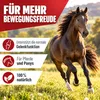 REAVET Gelenk Complete 1kg, Gelenkpulver Pferd – Produktbild-Vorschau 2