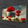 Acrylglasbilder 100x50 Wandbild Druck Mohnblumen Pflanzen Produktbild-Vorschau 2