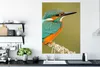 MuchoWow® Poster Eisvogel - Tiere - Vogel 90x120 cm - Produktbild-Vorschau 3