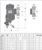 A technical drawing with dimensions of a Caleffi XF filter. Anteprima dell’immagine prodotto