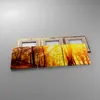 Bild auf Leinwand - Leinwandbild - Wald Baum Natur - Produktbild-Vorschau 2