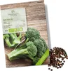 Brokkoli Samen (Calabrese, 50 Korn) - Brokkoli Saatgut aus Produktbild-Vorschau 1