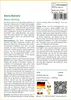 SAFLAX - Kenia-Banane - 8 Samen - Musa velutina Produktbild-Vorschau 3