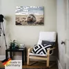 ARTland Leinwandbild Baby-Robbe am Strand von List, Sylt Produktbild-Vorschau 5