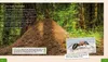 Meine große Tierbibliothek: Die Ameise Produktbild-Vorschau 4
