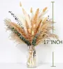 set di decorazioni in erba di pampa boho da 110 pezzi, Anteprima dell’immagine prodotto 5