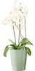 Orchideenkübel Merina ø 14 Salando grün Produktbild-Vorschau 4