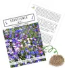 Kornblumen Samen (Centaurea cyanus) - Wunderschön Produktbild-Vorschau 1