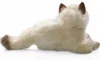 Kot Carl Dick, kot perski Czekoladowy czubek ok. 30 cm 3201 Podgląd zdjęcia produktu 10
