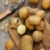 FACKELMANN 41944 Nature Sparschäler | Buche, Edelstahl |  Produktbild-Vorschau 6