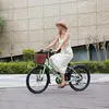26" E-Bike Damen/Herren, 250W Tiefeinsteiger Citybike,  36V Produktbild-Vorschau 9