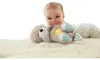 Fisher-Price FXC66, hračkárska vydra, 0 rok / roky, Náhľad obrázku produktu 36