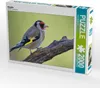 CALVENDO Puzzle Stieglitz 2000 Teile Puzzle quer | 2000 Produktbild-Vorschau 2