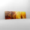 Bild auf Leinwand - Leinwandbild - Wald Baum Natur - Produktbild-Vorschau 4