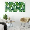 Coloray - Glasbild - 100x50 cm - Wandbild - Glasbilder - Produktbild-Vorschau 4