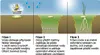 Diagram illustrating the three stages of plant growth and survival, showing how water activates a preparation to create a survival zone for the plant. Podgląd zdjęcia produktu