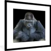 MuchoWow® Gerahmtes Poster Ein Gorilla schaut eindrucksvoll Produktbild-Vorschau 1