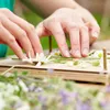 Die Stadtgärtner – Blumenpresse aus Buchenholz I Produktbild-Vorschau 6