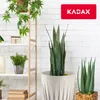 KADAX Blumentopf aus Kunststoff "Costa", mit Produktbild-Vorschau 4