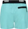 Puma Swim Men Logo Short Length Swi Red Red M Produktbild-Vorschau 10