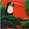ARTland Leinwandbild Tukan Größe: 50x50 cm Produktbild-Vorschau 1