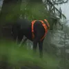 Ruffwear Front Range™ Hundegeschirr Produktbild-Vorschau 12