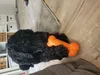 SwissPet Crunchy Bone orange, 18.5cm - Jouet à mâcher Voir les images du produit 3