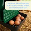 Legenester für Hühner mit Füßen Legenest Kunststoff Produktbild-Vorschau 3