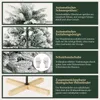 Collage of images and text describing features of a Christmas tree. Podgląd zdjęcia produktu