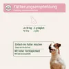 AniForte Nieren Vetal für Hunde 100 g - Natürliche Kräuter Produktbild-Vorschau 4