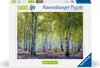 Forêt de bouleaux Voir les images du produit 1