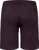 Nebulus Short TAURINO Herren, Bermudashort, sportliche Produktbild-Vorschau 3